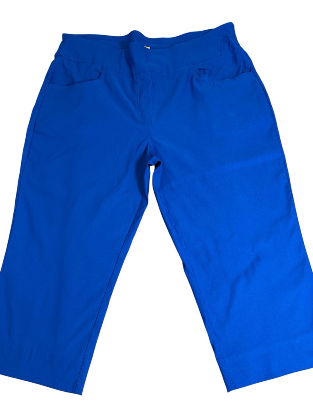Ruby Rd. Electric Blue Pants